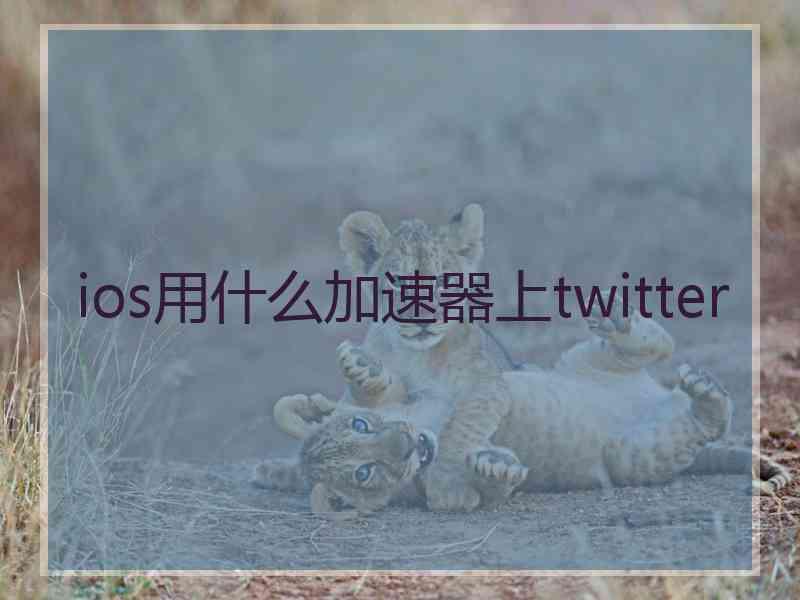 ios用什么加速器上twitter