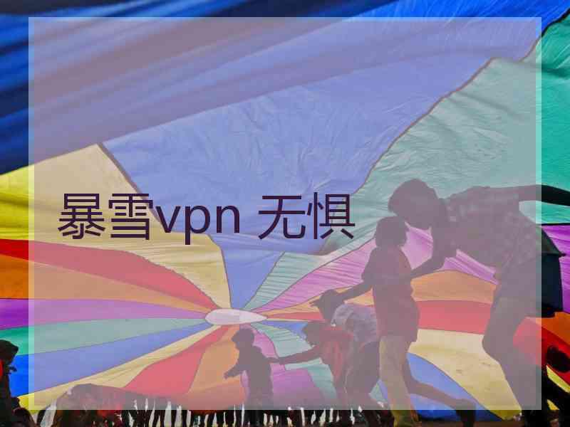 暴雪vpn 无惧