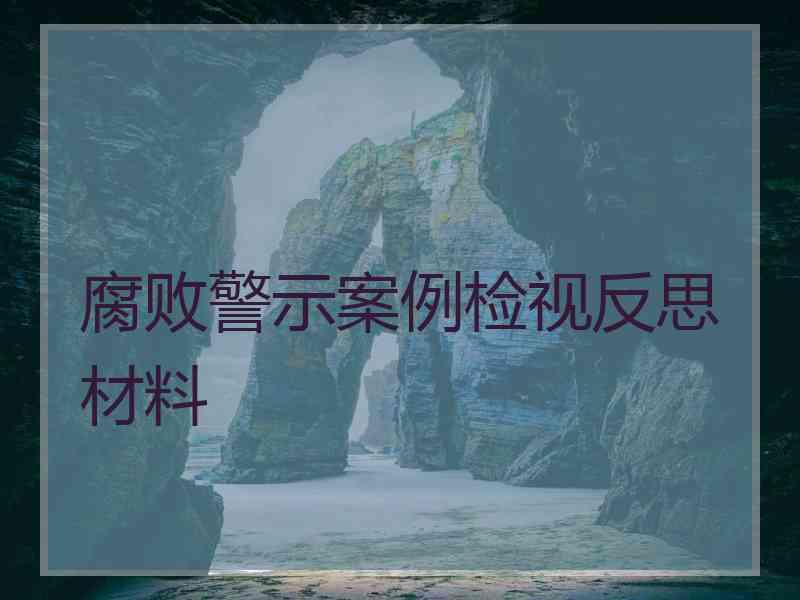 腐败警示案例检视反思材料