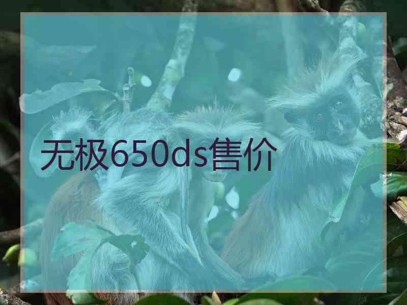 无极650ds售价