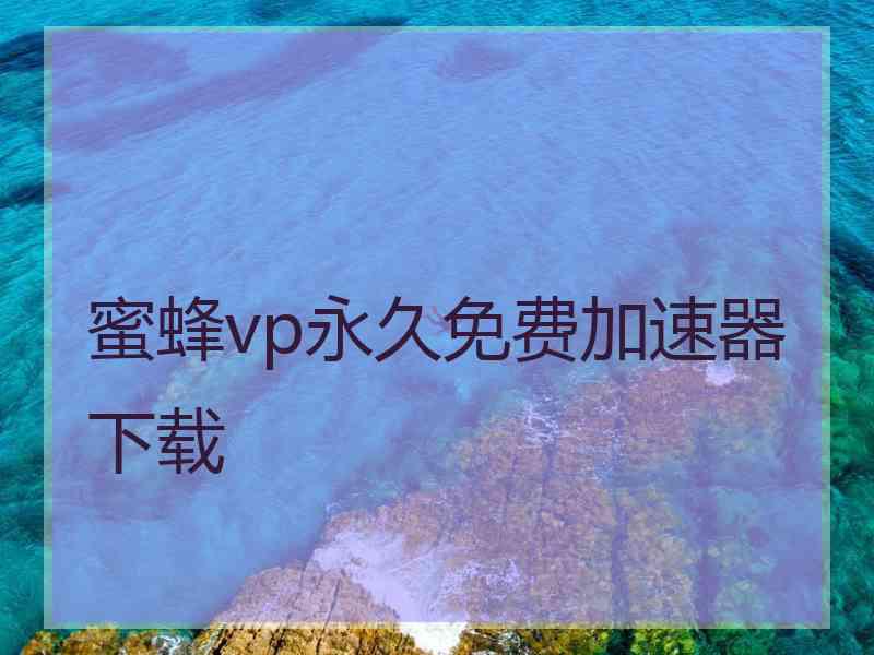 蜜蜂vp永久免费加速器下载