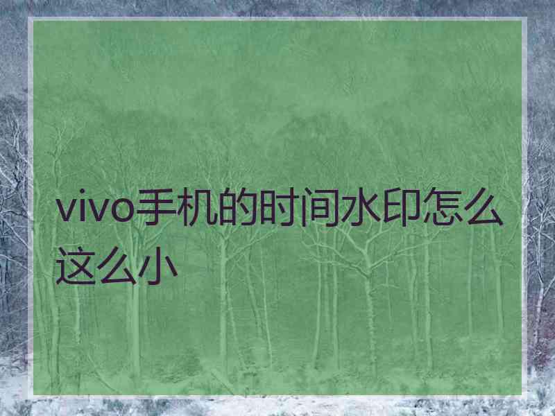 vivo手机的时间水印怎么这么小