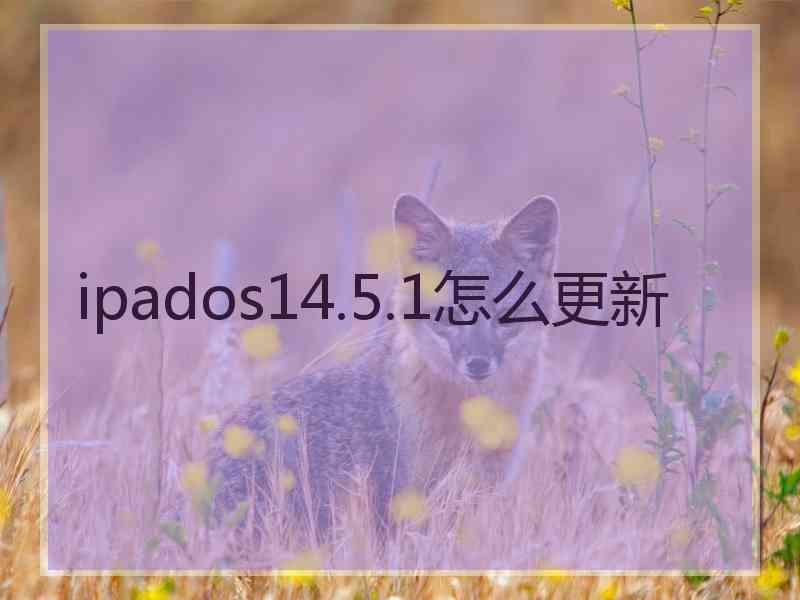 ipados14.5.1怎么更新