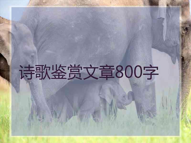 诗歌鉴赏文章800字