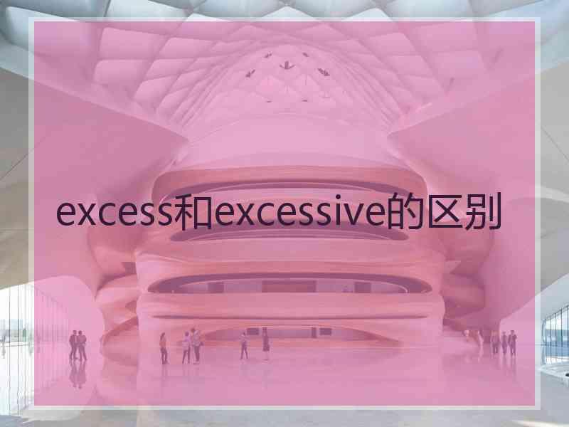 excess和excessive的区别