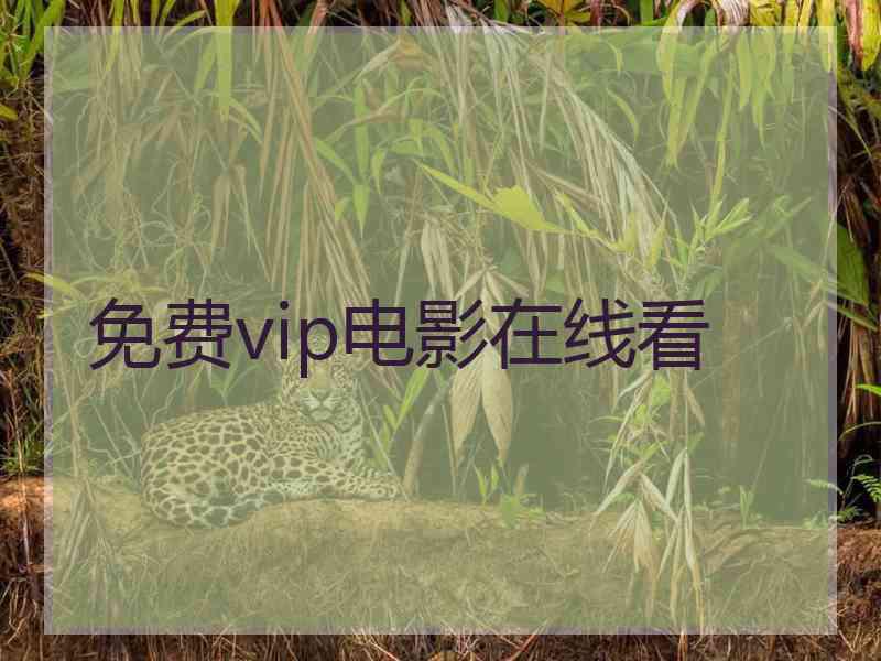 免费vip电影在线看