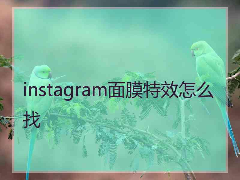 instagram面膜特效怎么找