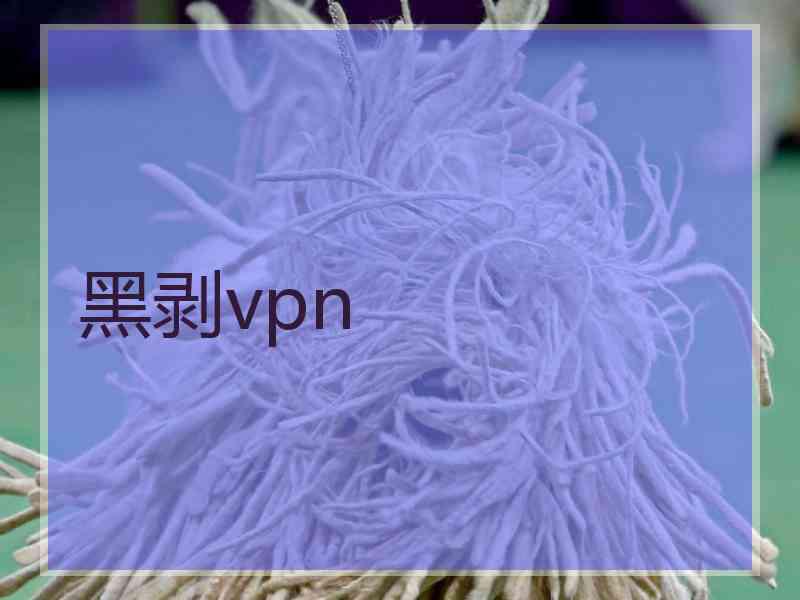 黑剥vpn