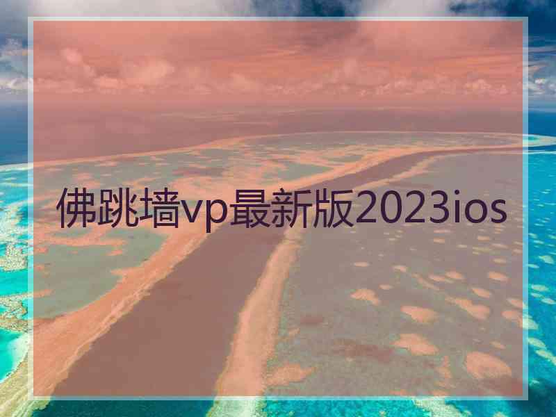 佛跳墙vp最新版2023ios