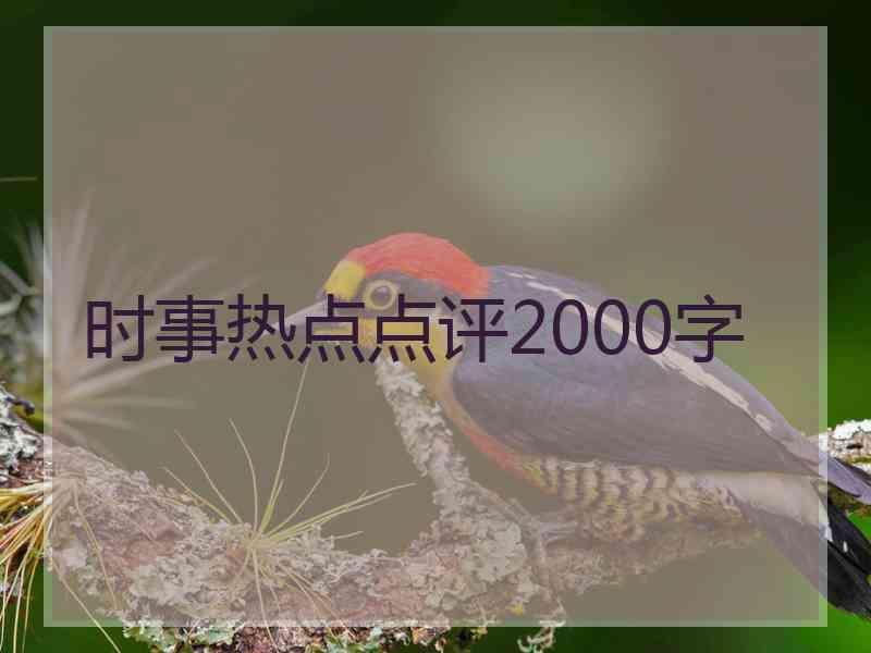 时事热点点评2000字