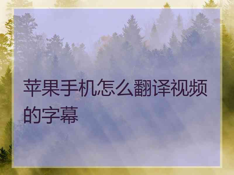 苹果手机怎么翻译视频的字幕