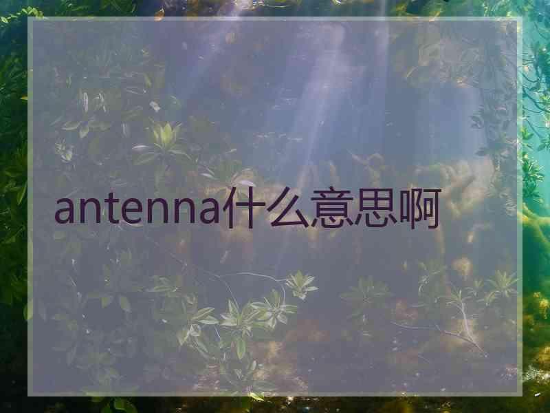 antenna什么意思啊