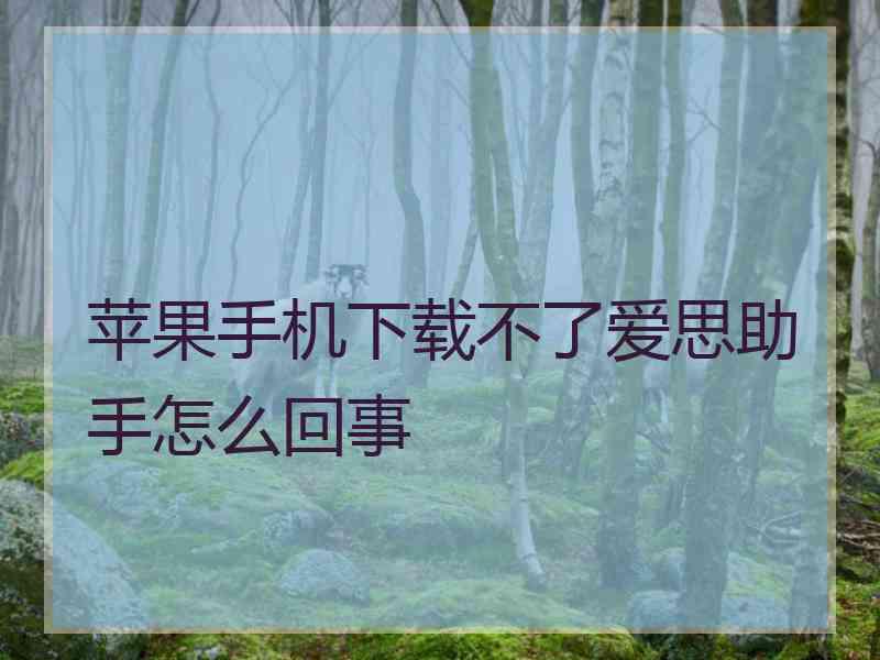 苹果手机下载不了爱思助手怎么回事