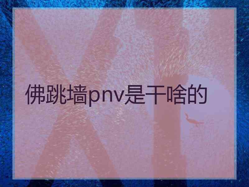 佛跳墙pnv是干啥的