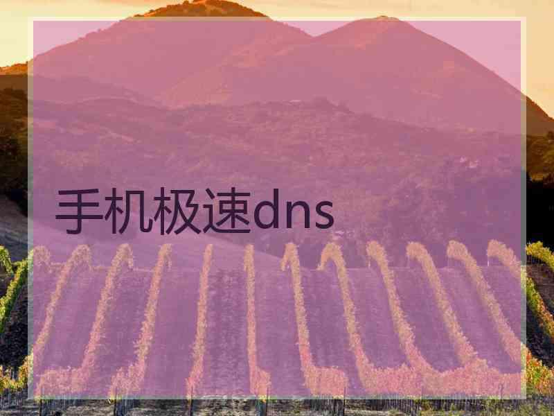 手机极速dns