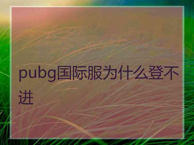 pubg国际服为什么登不进