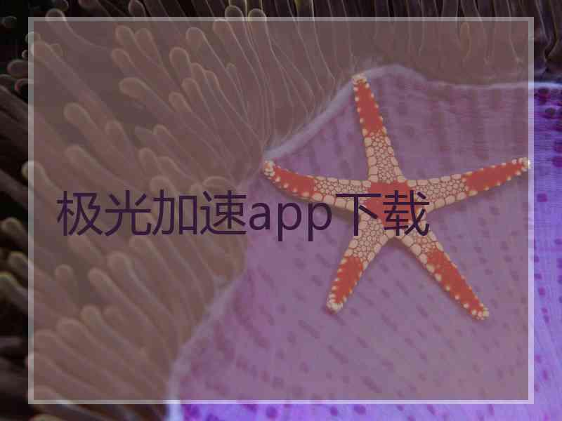 极光加速app下载