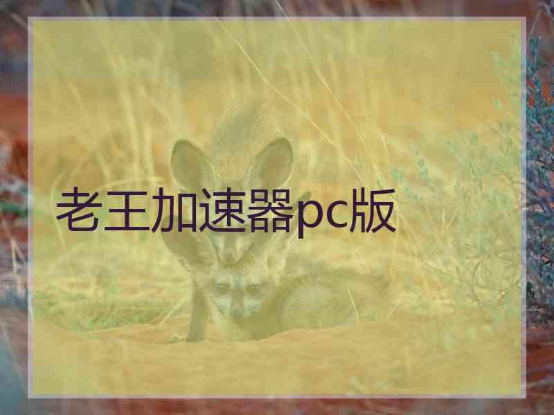 老王加速器pc版