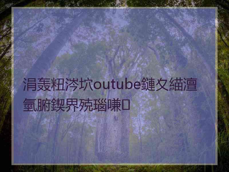 涓轰粈涔坹outube鏈夊緢澶氫腑鍥界殑瑙嗛