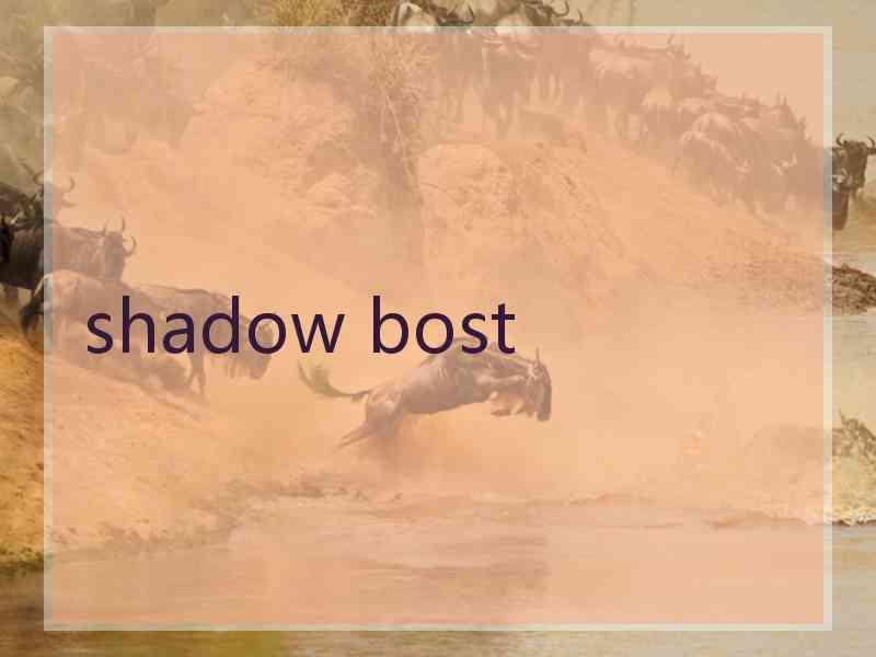 shadow bost