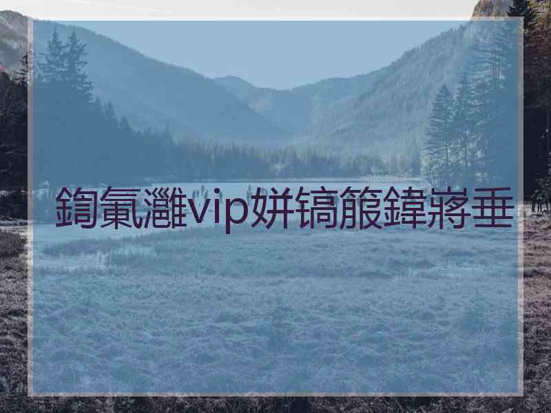 鍧氭灉vip姘镐箙鍏嶈垂