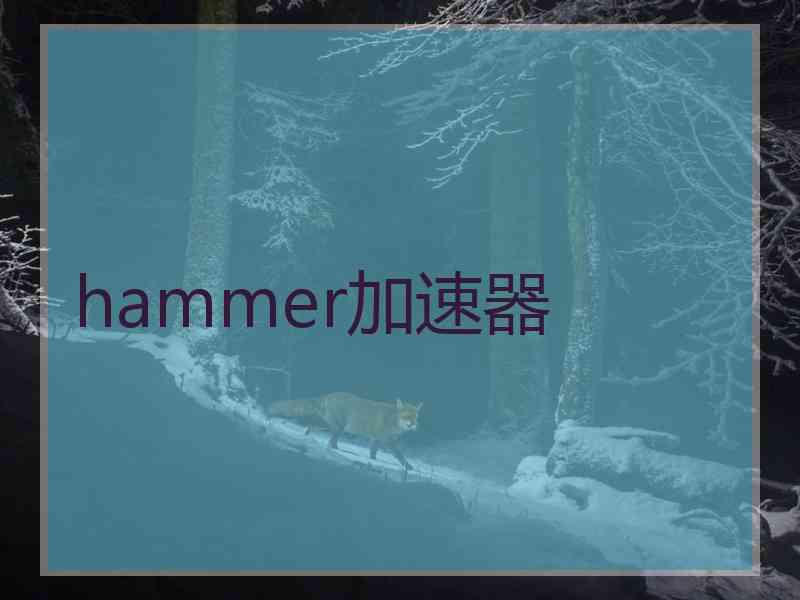 hammer加速器