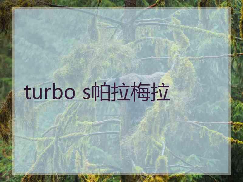 turbo s帕拉梅拉