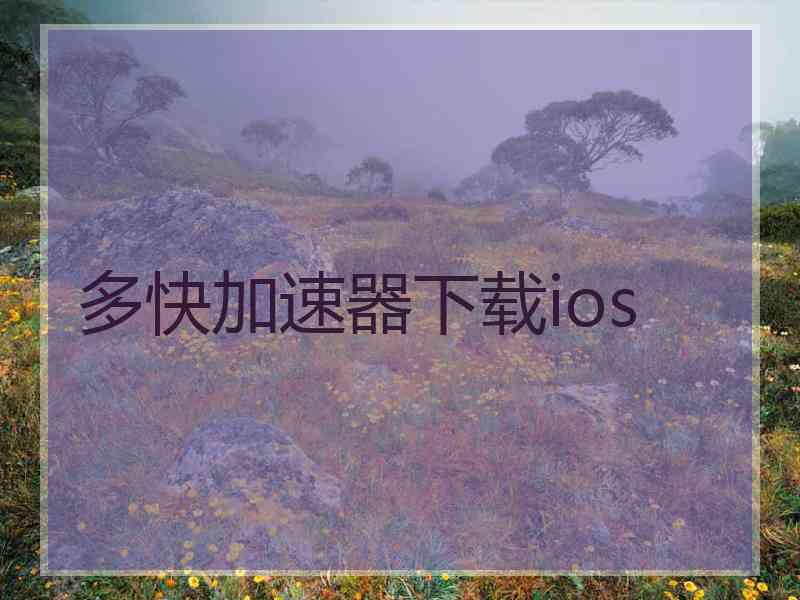 多快加速器下载ios