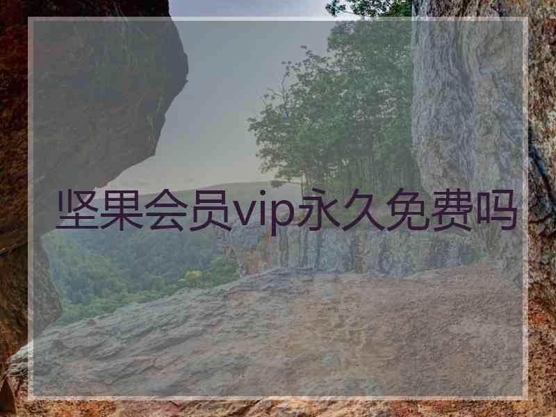 坚果会员vip永久免费吗