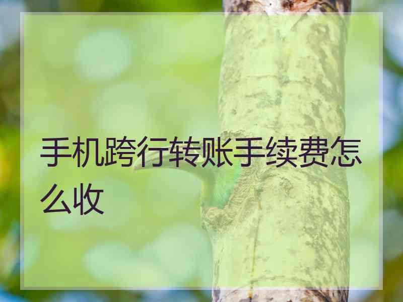 手机跨行转账手续费怎么收