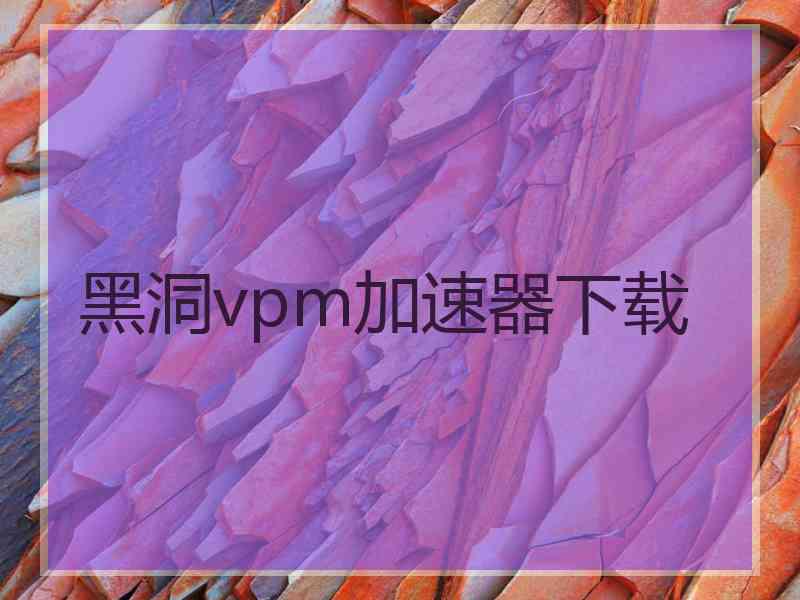 黑洞vpm加速器下载