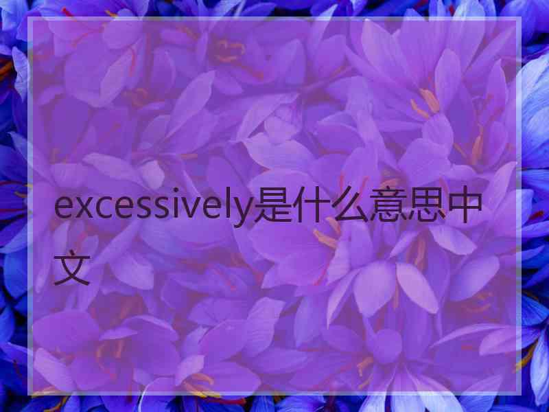 excessively是什么意思中文