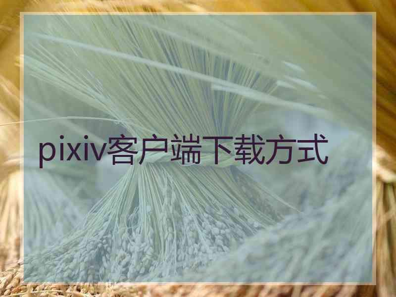 pixiv客户端下载方式