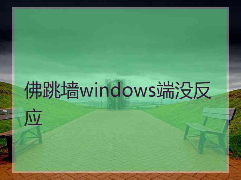 佛跳墙windows端没反应