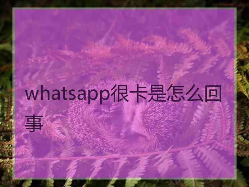 whatsapp很卡是怎么回事