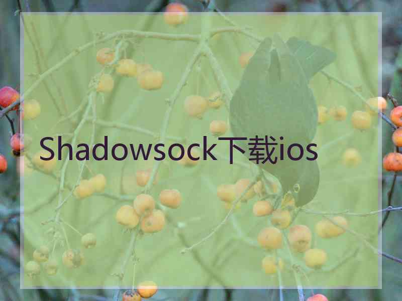 Shadowsock下载ios