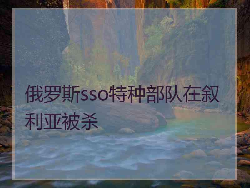 俄罗斯sso特种部队在叙利亚被杀