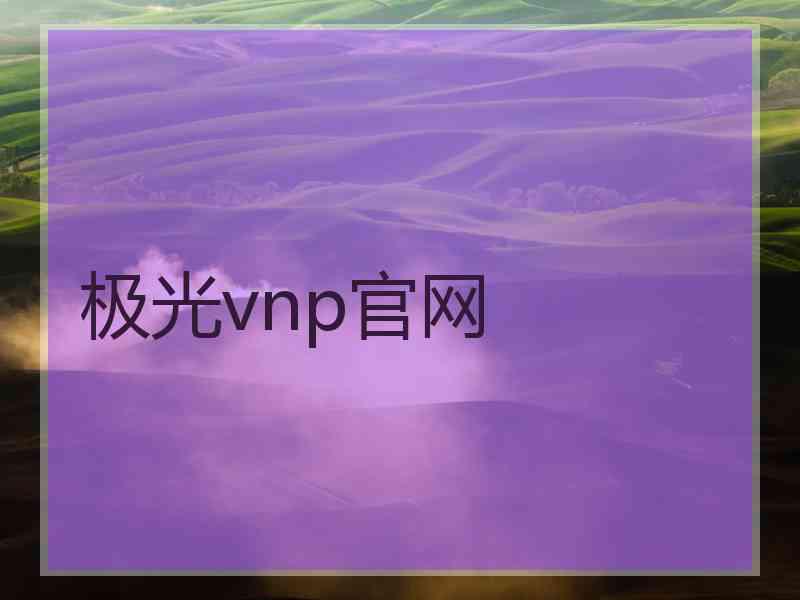 极光vnp官网