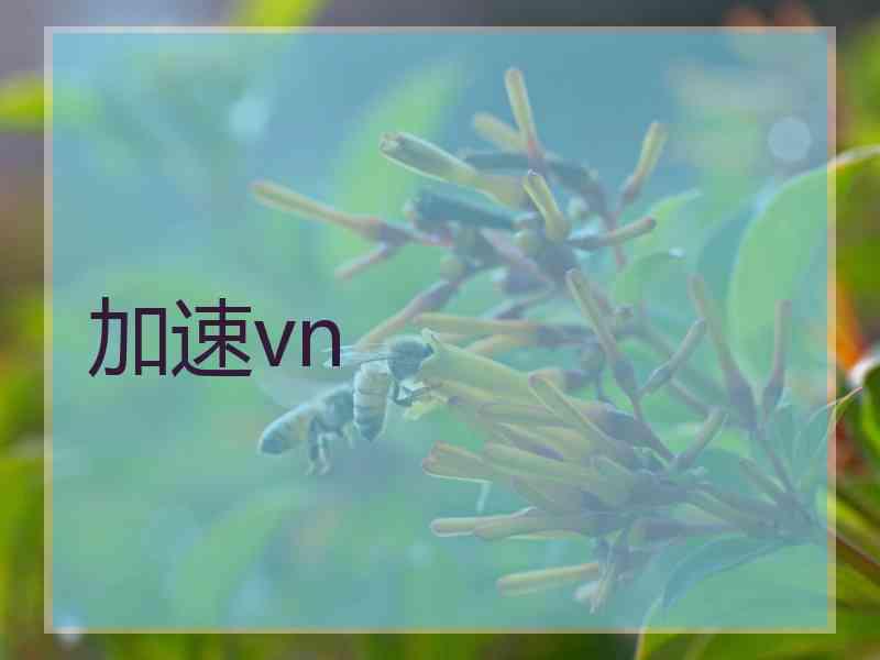 加速vn