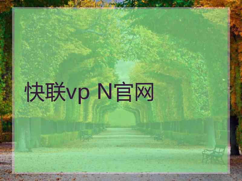 快联vp N官网