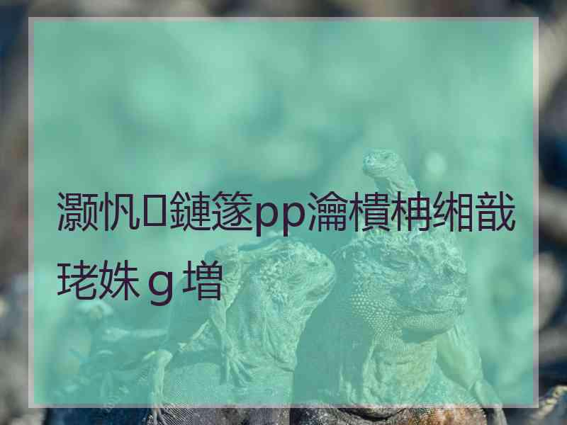 灏忛鏈篴pp瀹樻柟缃戠珯姝ｇ増