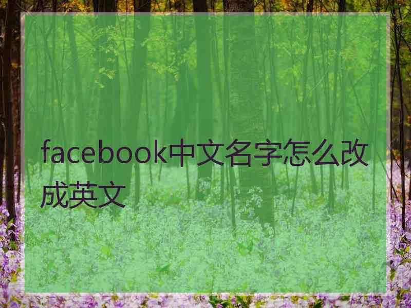 facebook中文名字怎么改成英文