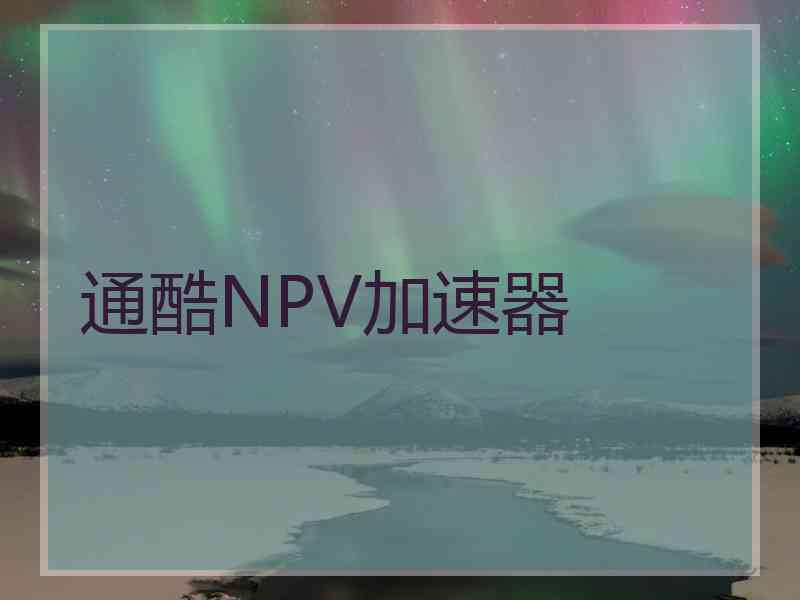 通酷NPV加速器