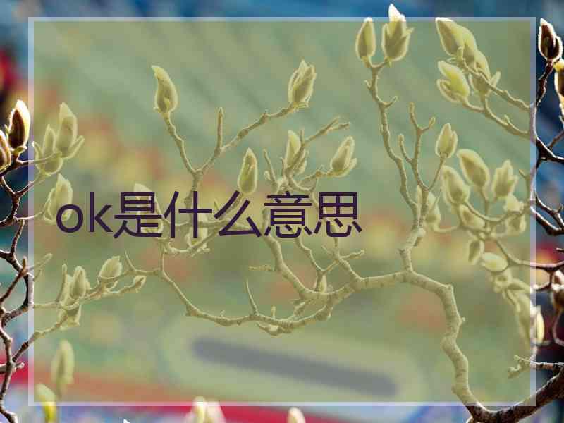 ok是什么意思