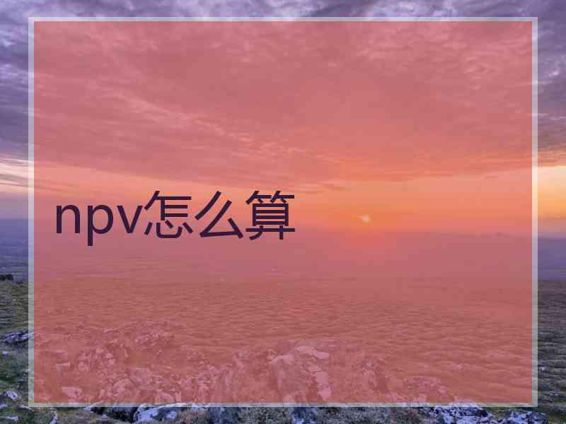 npv怎么算