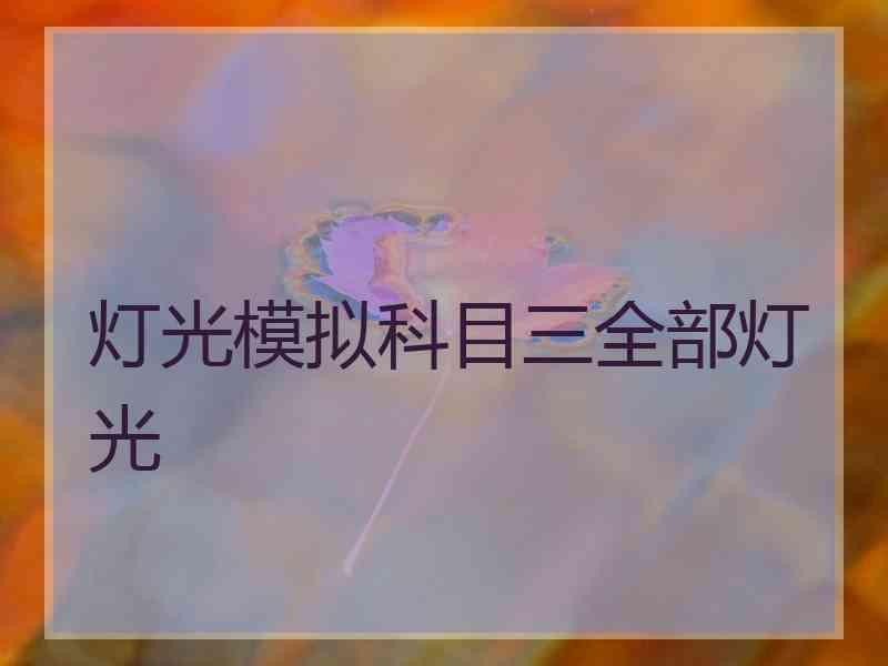 灯光模拟科目三全部灯光