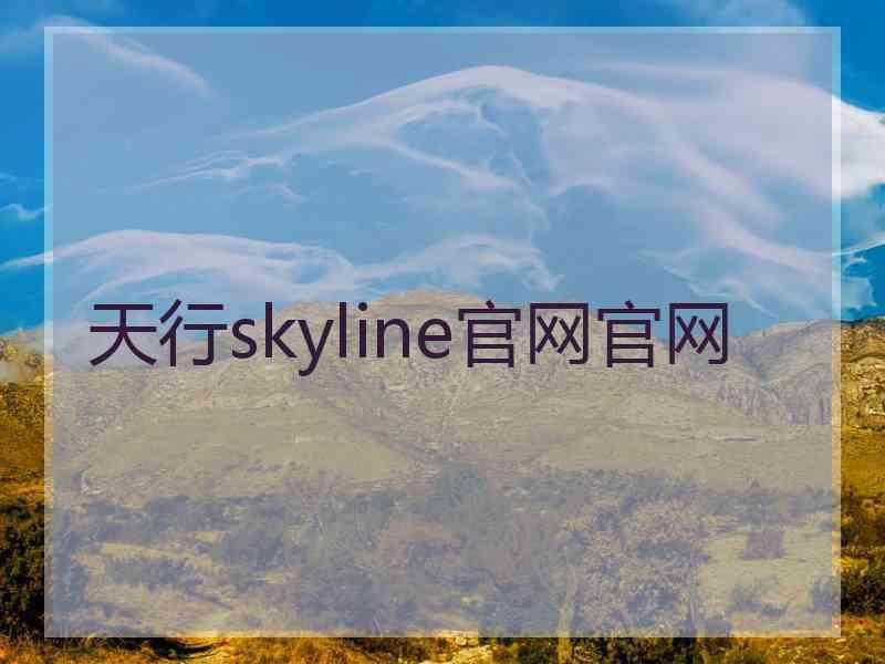 天行skyline官网官网