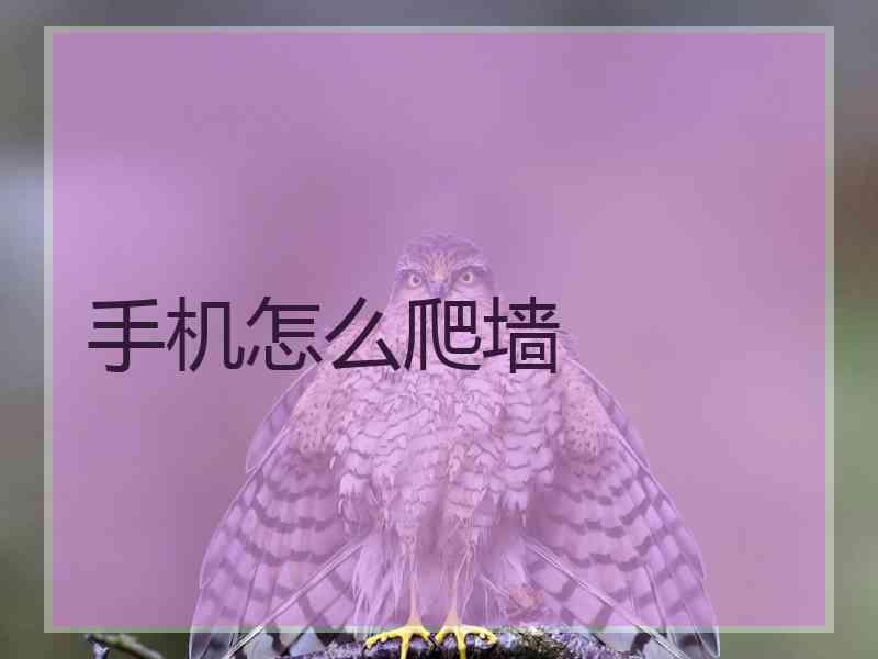 手机怎么爬墙