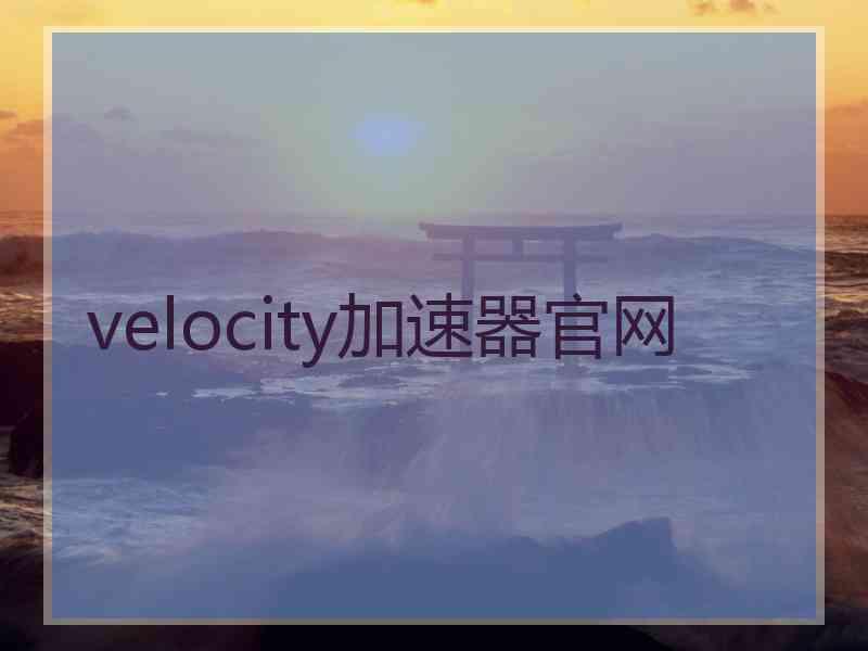 velocity加速器官网