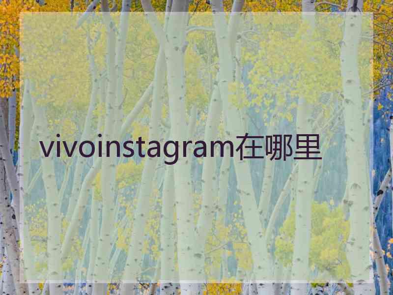 vivoinstagram在哪里